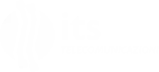 logo its